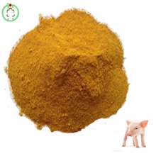 60% Protein Corn Gluten Meal for Poultry